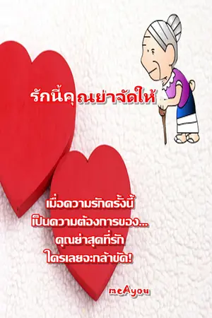 ปกนิยาย รักนี้คุณย่าจัดให้