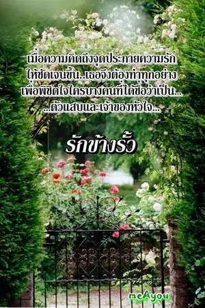 ปกนิยาย รักข้างรั้ว