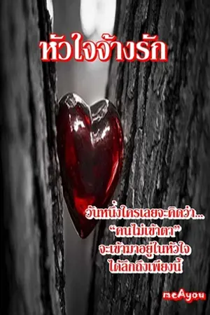 ปกนิยาย