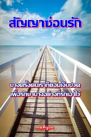 ปกนิยาย