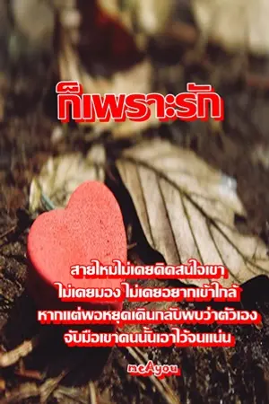 ปกนิยาย ก็เพราะ...รัก