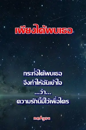ปกนิยาย เพียงได้พบเธอ