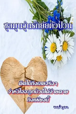 ปกนิยาย ชุลมุนลุ้นรักยัยตัวป่วน