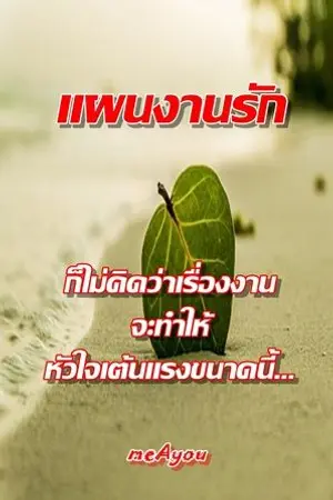 ปกนิยาย