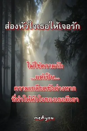 ปกนิยาย ส่องหัวใจเธอให้เจอรัก
