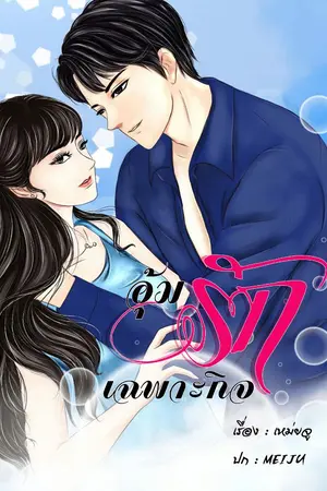 ปกนิยาย อุ้มรักเฉพาะกิจ