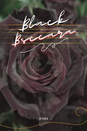 ปกนิยาย [Harry potter fic]Black baccara (Dramione/DMxHG)