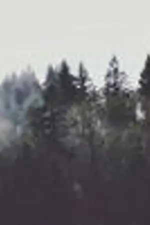 ปกนิยาย ` re : descent summer camp ┊RP