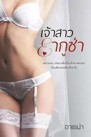 ปกนิยาย