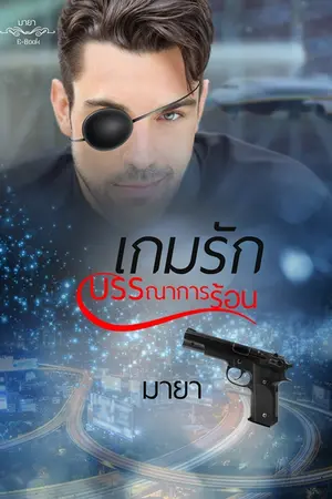 ปกนิยาย