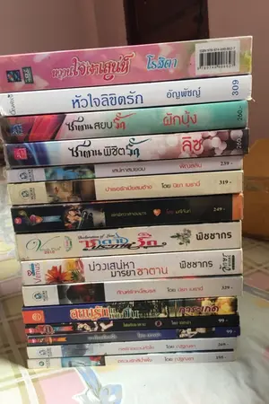 ปกนิยาย