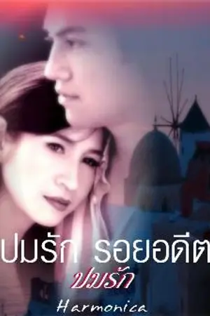 ปกนิยาย