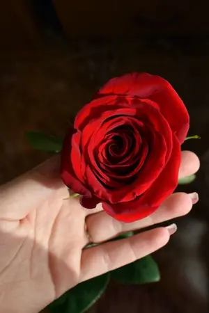 ปกนิยาย รอรักหวนคืนใจ