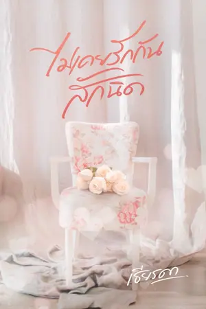 ปกนิยาย ไม่เคยรักกันสักนิด | E-book
