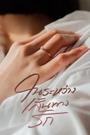 ปกนิยาย ในระหว่างเส้นทางรัก