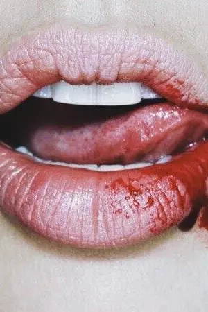 ปกนิยาย CHEF :: KAIDO