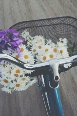 ปกนิยาย SERENE :: KAIHUN