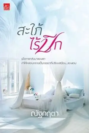 ปกนิยาย