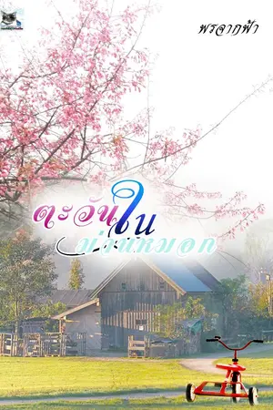 ปกนิยาย