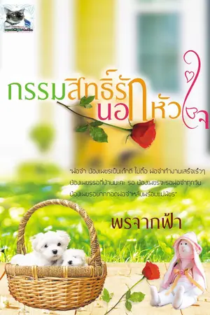 ปกนิยาย