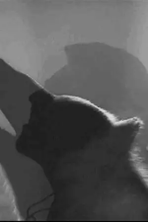 ปกนิยาย (exo) Who is That Wolf?