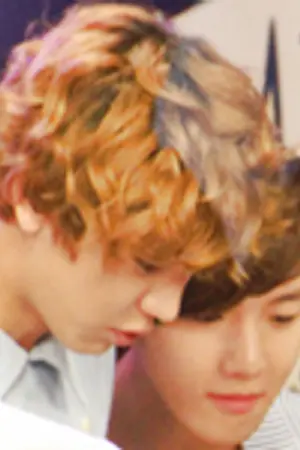 ปกนิยาย ｡ 1 liter of tears : ♔ chanbaek
