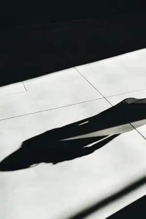 ปกนิยาย My shadow