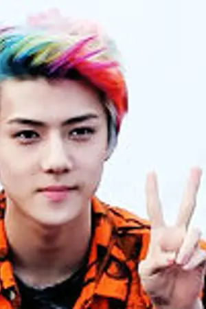 ปกนิยาย EXO's LOVETIME