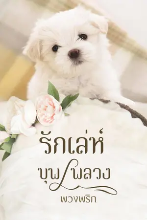 ปกนิยาย รักเล่ห์ บุพเพลวง