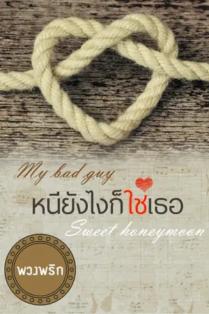 ปกนิยาย หนียังไงก็ใช่เธอ My bad guy