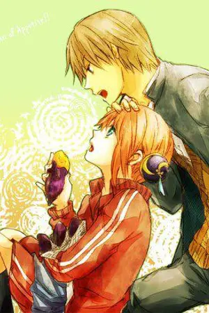 ปกนิยาย [Fic Gintama] Sadistic Romeo X Gluttonous Juliet (OkiKagu)