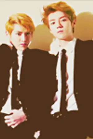 ปกนิยาย ( exo ) 10 cm ' krislu