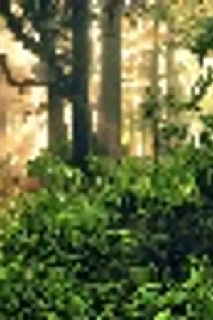 ปกนิยาย [SF FIC] มนต์ตราแห่งสายลม (Sungjae,Minhyuk)