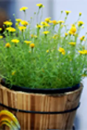 ปกนิยาย [SJ_SF] Super Junior DongHae Short Fiction