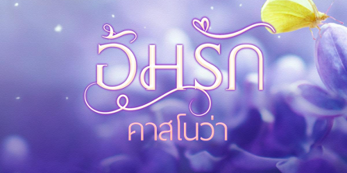 ปกคอลเล็กชัน ซีรีย์อุมรัก