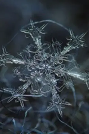 ปกนิยาย Flake Spell มนตร์หิมะ