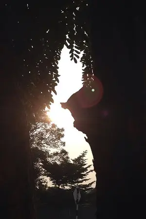 ปกนิยาย KnB AU FanFiction [ Kiyoshi Teppei x Hyuuga Junpei ] ‘The Cupid’