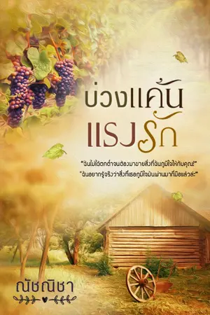 ปกนิยาย บ่วงแค้นแรงรัก [ฉบับรีไรท์]