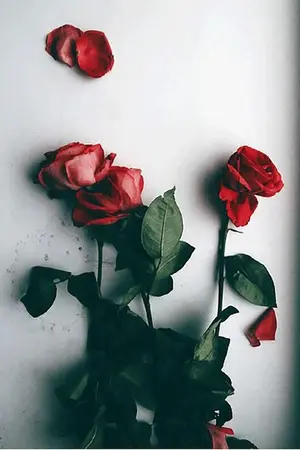 ปกนิยาย Restart [YAOI]