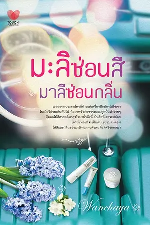 ปกนิยาย