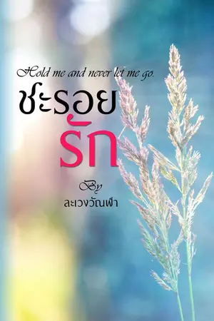 ปกนิยาย