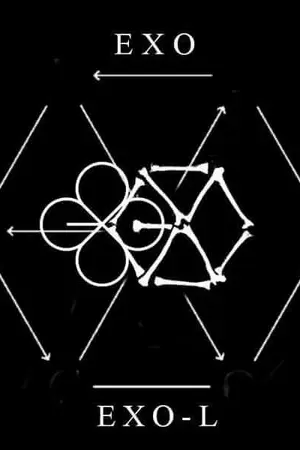 ปกนิยาย คลังฟิค EXO