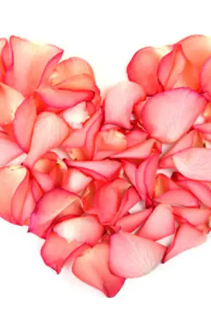 ปกนิยาย กามเทพซ่อนกล