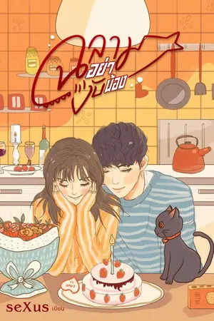 ปกนิยาย