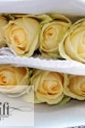 ปกนิยาย ร้านรับวิจารณ์นิยายสไตล์ flower shop