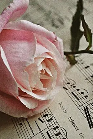 ปกนิยาย The GRAY ทฤษฎีรัก นักดนตรีสีเทา