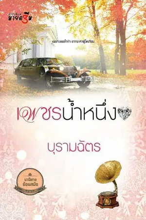 ปกนิยาย