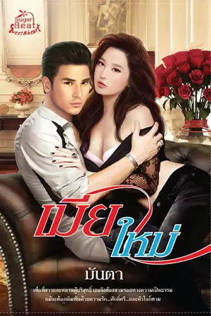 ปกนิยาย