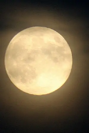 ปกนิยาย The Thousand and One Nights : Yaoi (Kihae)