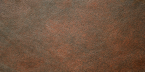 ปกคอลเล็กชัน Reference Book